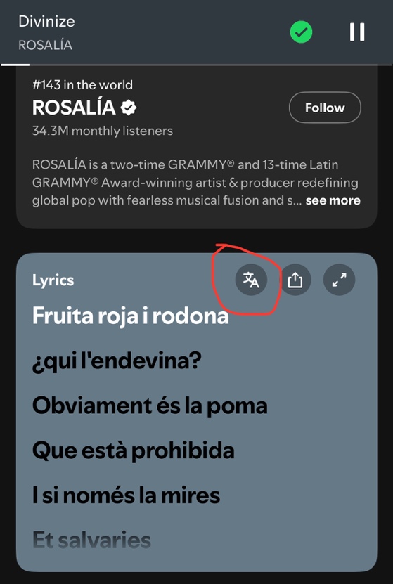 Spotify lyrics translation button in Rosalía's Divinize